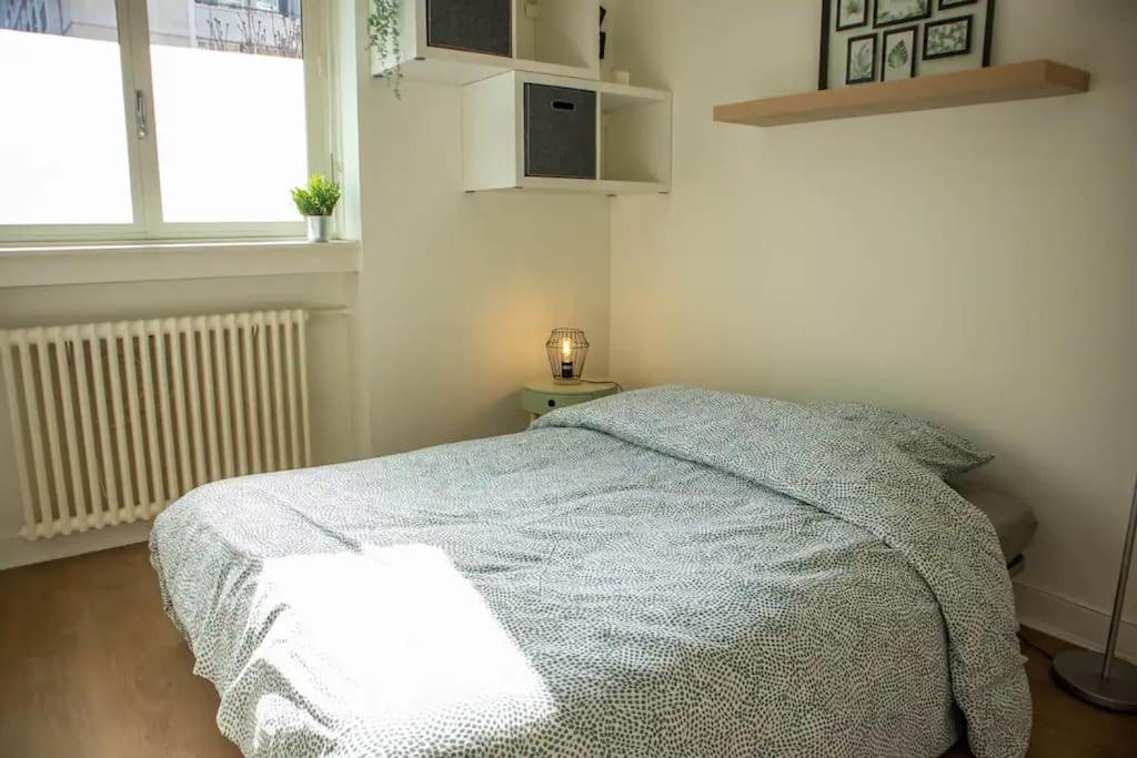 Apartment Cosy Et Idealement Place Grenoble